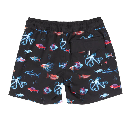 Maillot de bain - Nanö short noir imprimé poissons et pieuvres bleus et rouges, pour bébé garçon, vue de dos avec poche arrière.