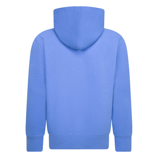 Hoodie - Jordan bleu clair en coton avec capuche, style casual pour garçon, vue de dos