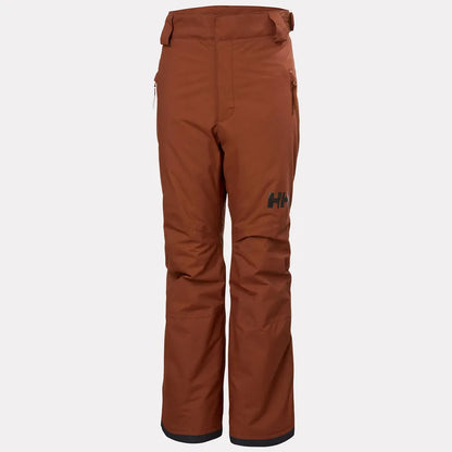 Pantalon de neige - Helly Hansen brun, coupe droite et taille haute, vue de face