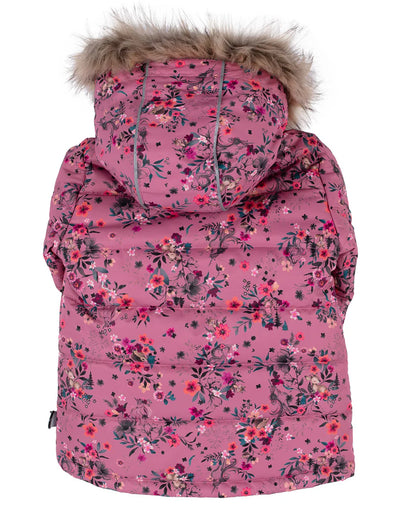 Habit de neige - Peluche & Tartine