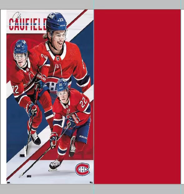 Serviette microfibre - Caufield