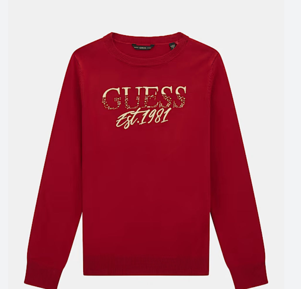 Sweater - Guess