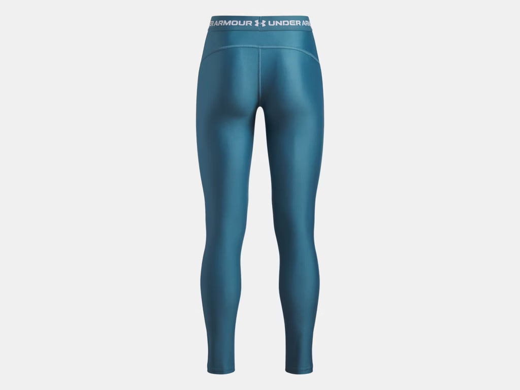 Legging HeatGear® - Under Armour bleu métallique en tissu technique, coupe ajustée, vue de dos sur mannequin adulte homme.