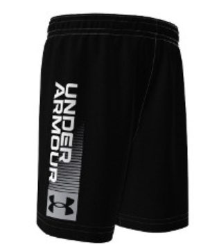 Shorts - Under Armor