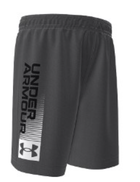 Shorts - Under Armor