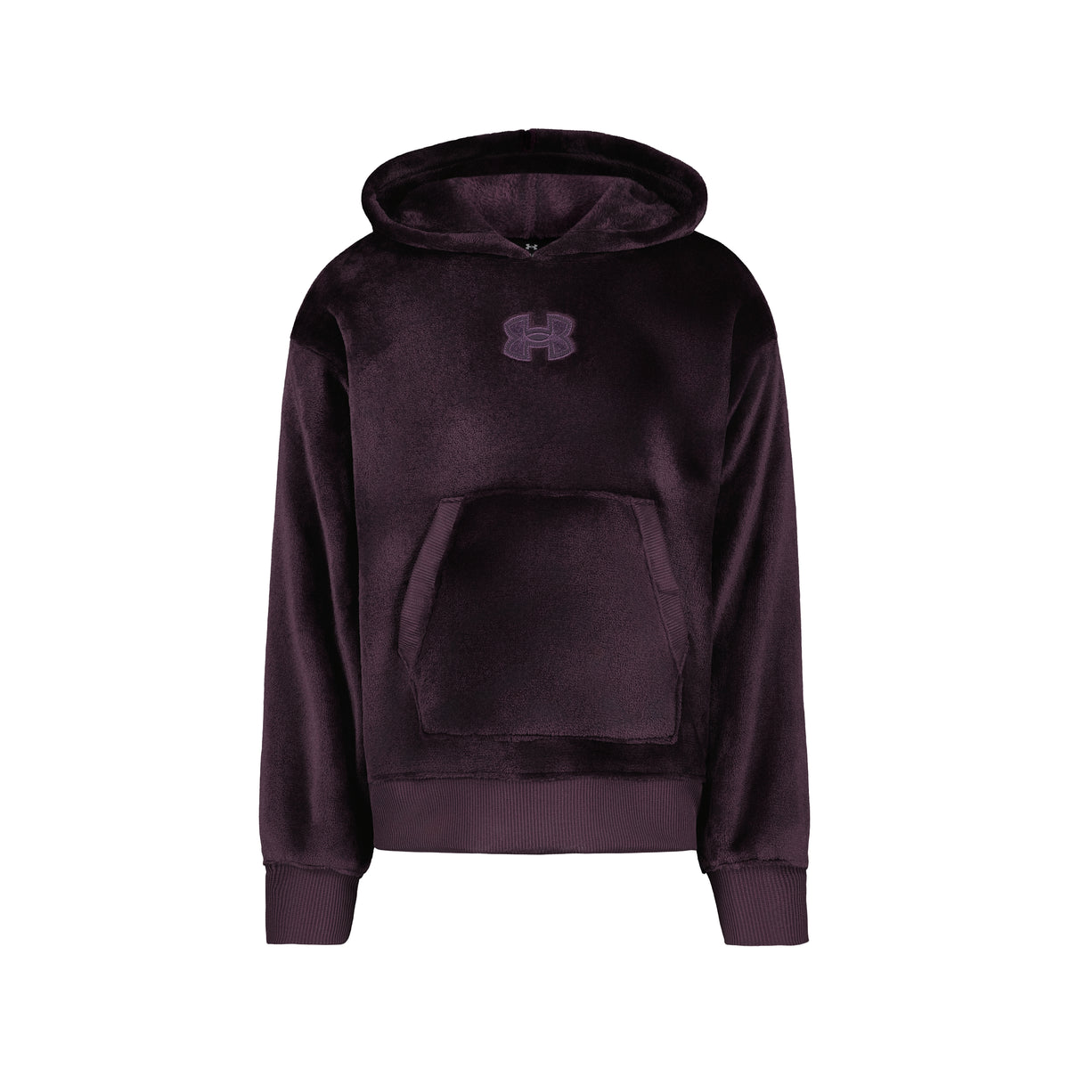 Hoodie - Under Armour violet foncé à capuche, poche kangourou et logo sur la poitrine, vue de face