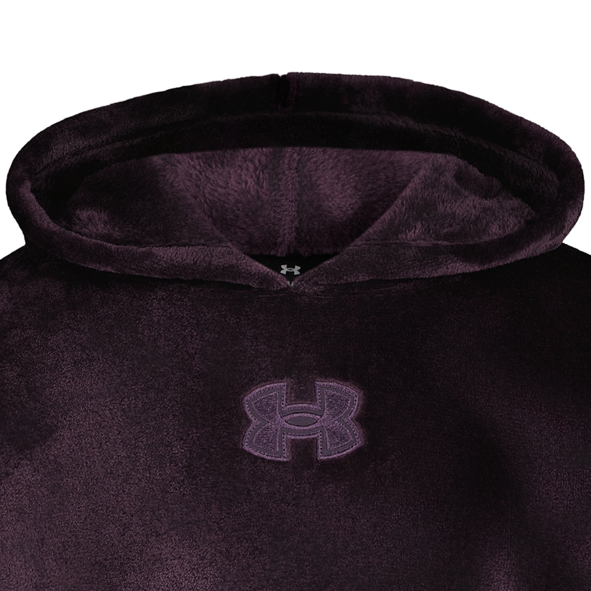 Hoodie - Under Armour violet foncé, sweat à capuche doublé en polaire avec logo contrasté, vue de face en détail