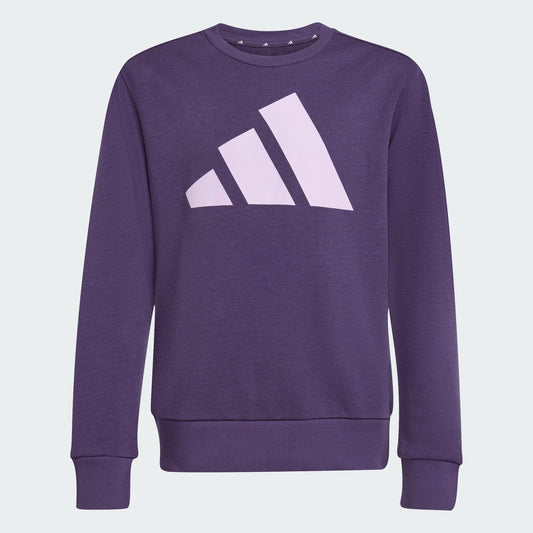 Adidas junior chandail in X-small, featuring a classic design and comfortable fit for active wear.