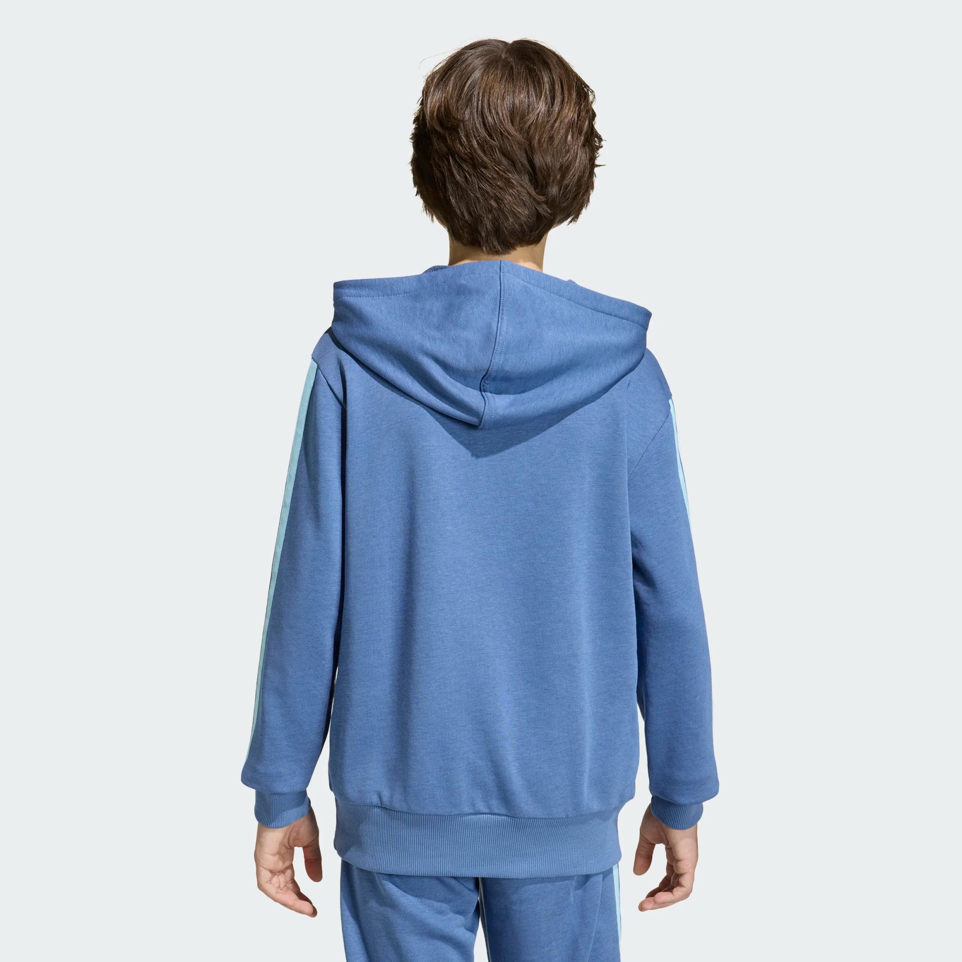 Hoodie DNA Argentine - Adidas bleu clair avec capuche, manches longues, pour garçon, vue de dos