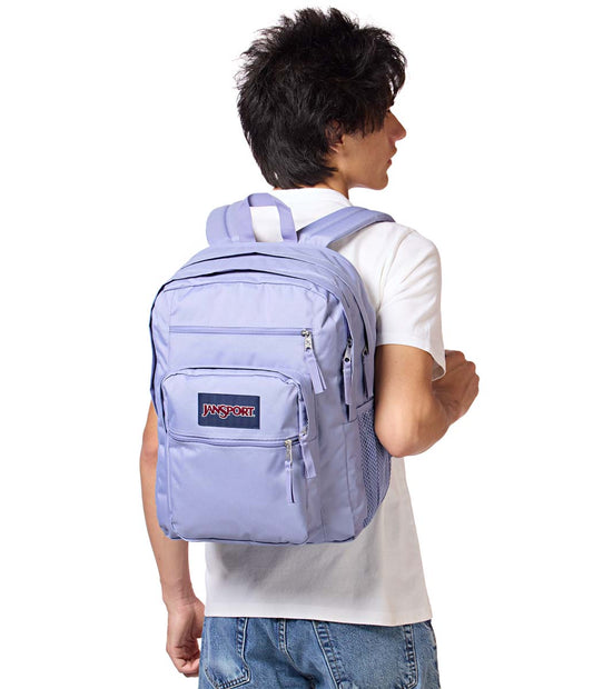 Sac à dos - Big Student lavande en tissu synthétique, design classique avec plusieurs compartiments, porté dos homme adulte vue arrière