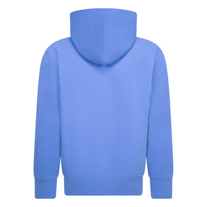 Hoodie - Jordan bleu clair en coton avec capuche, style casual pour garçon, vue de dos