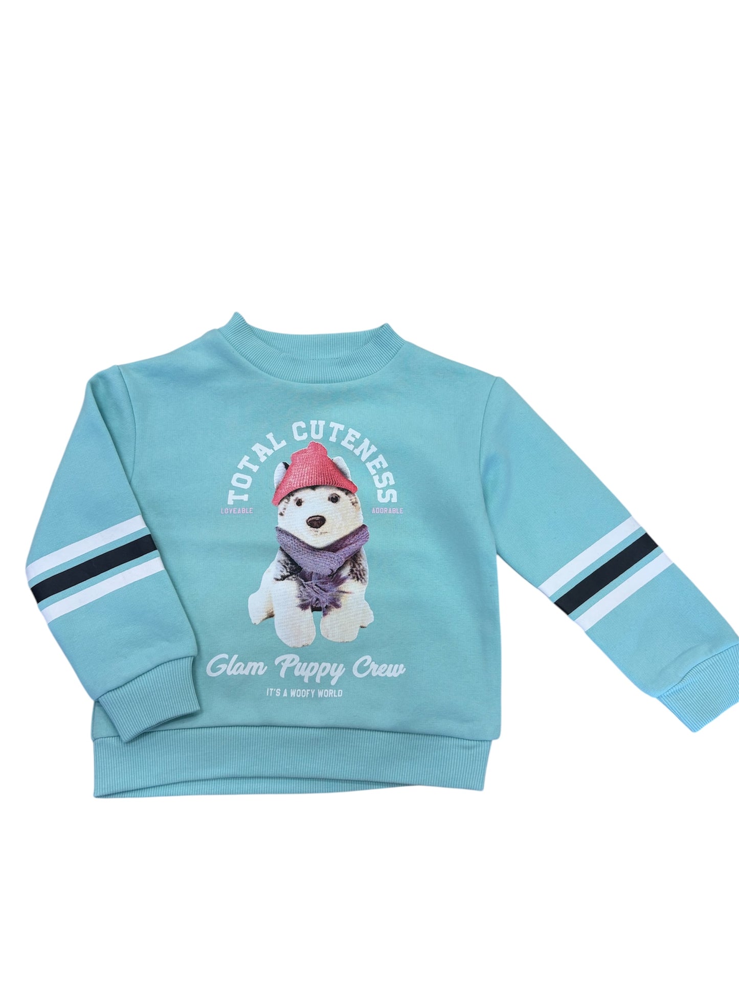 Chandail - Mandarine & Co bleu turquoise avec motif chiot à bonnet rose, rayures blanches et noires, pour fille, vue de face