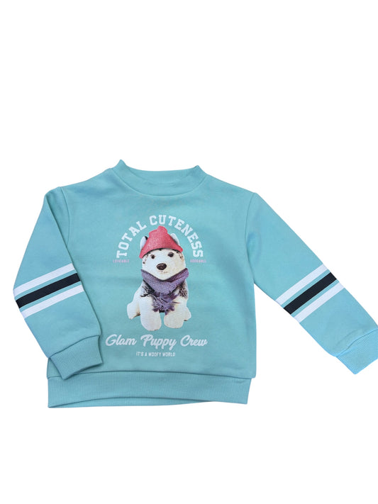 Chandail - Mandarine & Co bleu turquoise avec motif chiot à bonnet rose, rayures blanches et noires, pour fille, vue de face